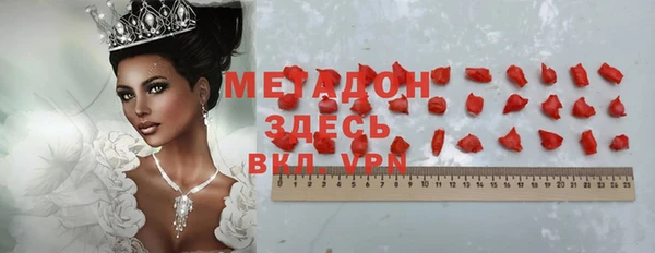 гашик Алексин