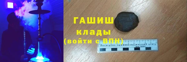 гашик Алексин