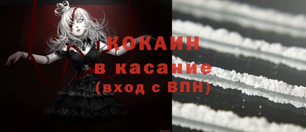 гашик Алексин