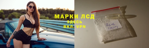 гашик Алексин