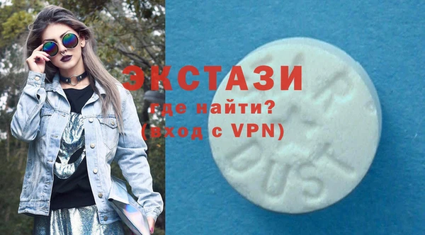 гашик Алексин