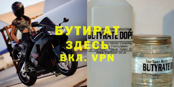 гашик Алексин